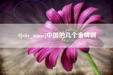 江门中国的几个金牌啊