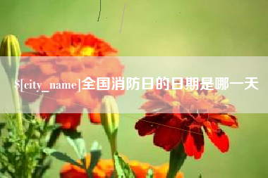 江门全国消防日的日期是哪一天