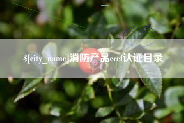 江门消防产品cccf认证目录