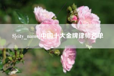 江门中国十大金牌律师名单