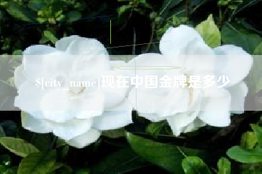 江门现在中国金牌是多少
