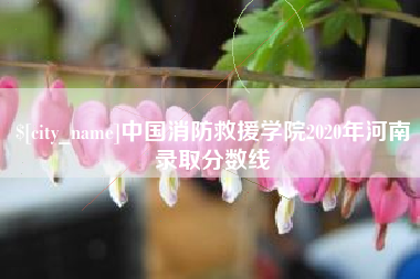 江门中国消防救援学院2020年河南录取分数线