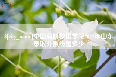 江门中国消防救援学院2021年山东录取分数线是多少