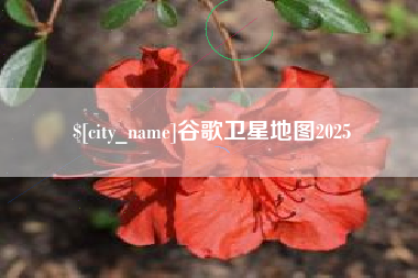 江门谷歌卫星地图2025