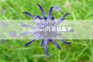 江门九宫格盘子