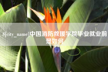 江门中国消防救援学院毕业就业前景如何