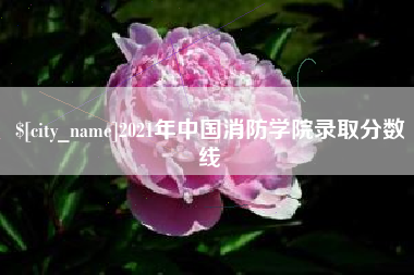 江门2021年中国消防学院录取分数线