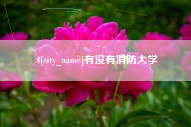 江门有没有消防大学