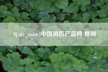 江门中国消防产品网 查询