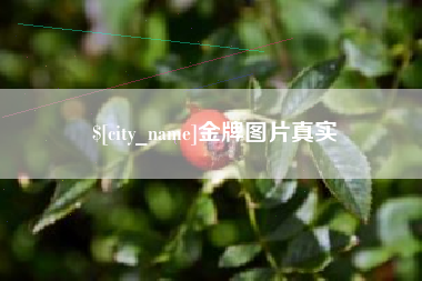 江门金牌图片真实