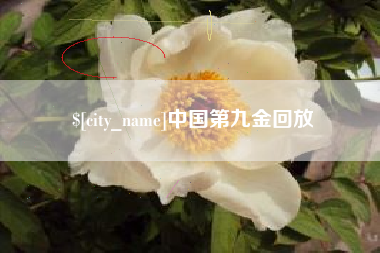 江门中国第九金回放