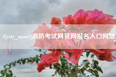 江门消防考试网官网报名入口网址