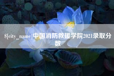 江门中国消防救援学院2021录取分数