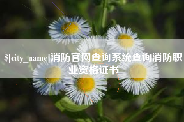 江门消防官网查询系统查询消防职业资格证书