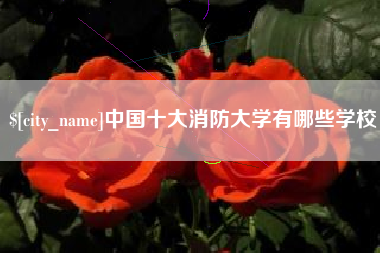 江门中国十大消防大学有哪些学校