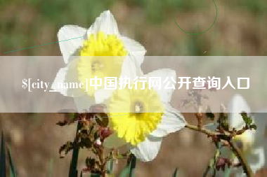 江门中国执行网公开查询入口