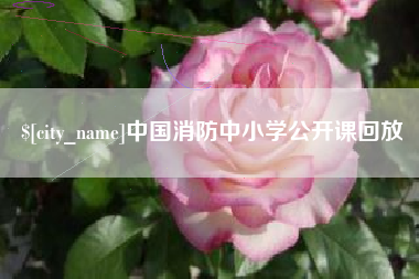 江门中国消防中小学公开课回放