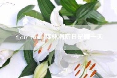 江门森林消防日是哪一天