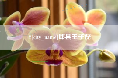 江门邱县王子磊
