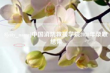 江门中国消防救援学院2020年录取结果