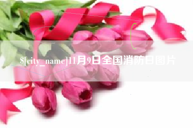 江门11月9日全国消防日图片
