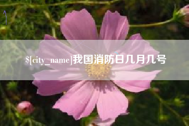 江门我国消防日几月几号