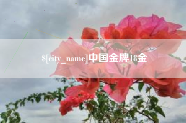 江门中国金牌18金