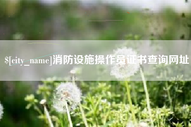 江门消防设施操作员证书查询网址