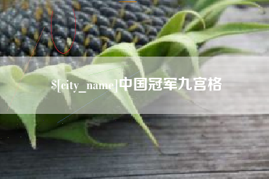 江门中国冠军九宫格