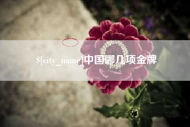 江门中国哪几项金牌