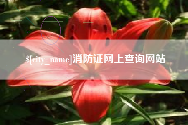 江门消防证网上查询网站