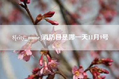 江门消防日是哪一天11月9号