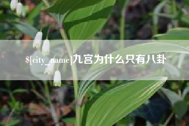 江门九宫为什么只有八卦