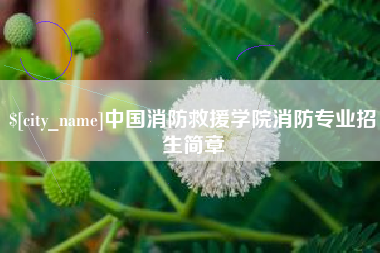 江门中国消防救援学院消防专业招生简章
