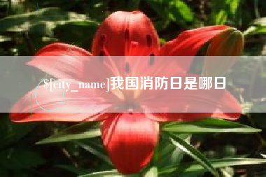 江门我国消防日是哪日