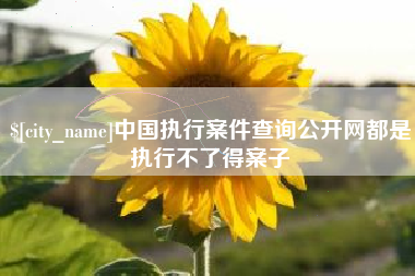 江门中国执行案件查询公开网都是执行不了得案子