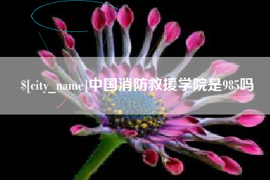 江门中国消防救援学院是985吗