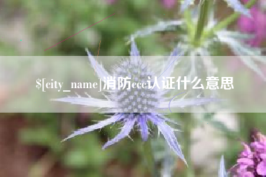 江门消防ccc认证什么意思