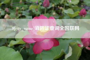 江门消防证查询全国联网