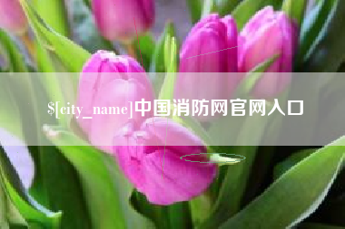 江门中国消防网官网入口