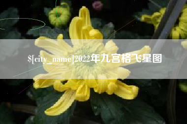 江门2022年九宫格飞星图
