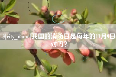 江门我国的消防日是每年的11月9日对吗？
