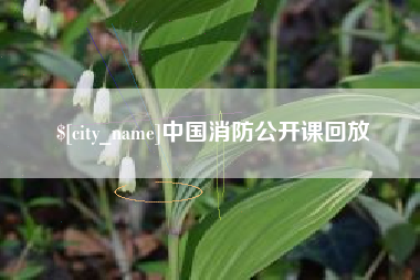 江门中国消防公开课回放