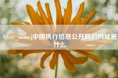 江门中国执行信息公开网的网址是什么