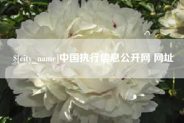 江门中国执行信息公开网 网址