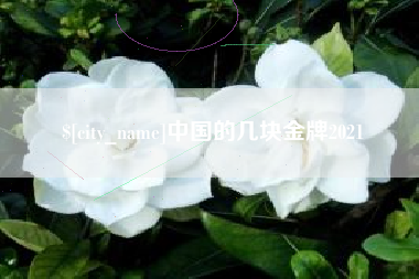 江门中国的几块金牌2021