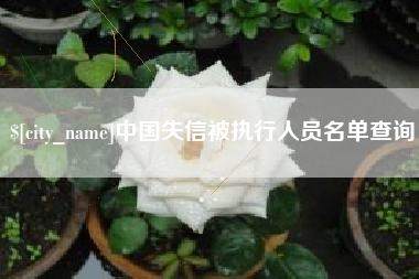 江门中国失信被执行人员名单查询