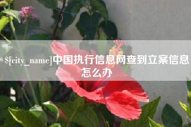 江门中国执行信息网查到立案信息怎么办