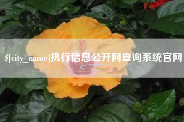 江门执行信息公开网查询系统官网