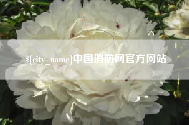 江门中国消防网官方网站